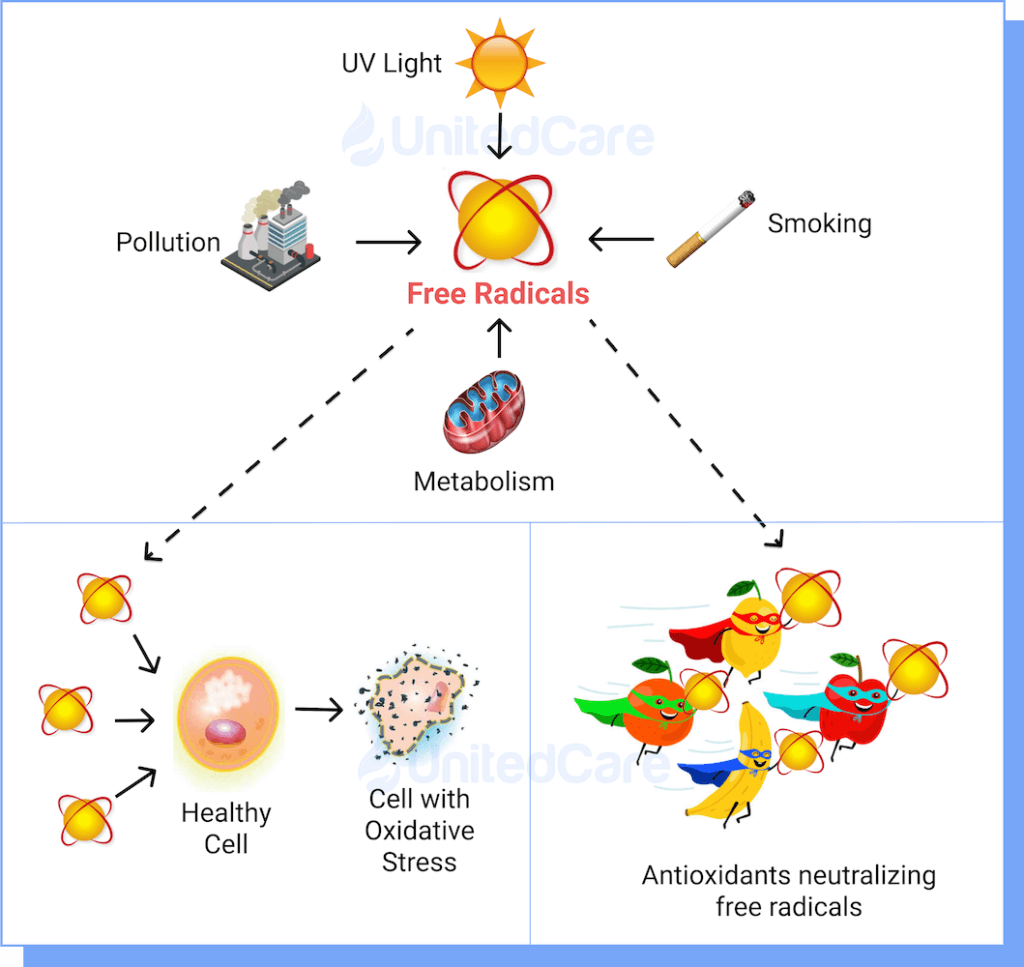 Oxidative Stress Caused Free Radicals, Cell/DNA Damage and Antioxidant Neutralization Mechanisms