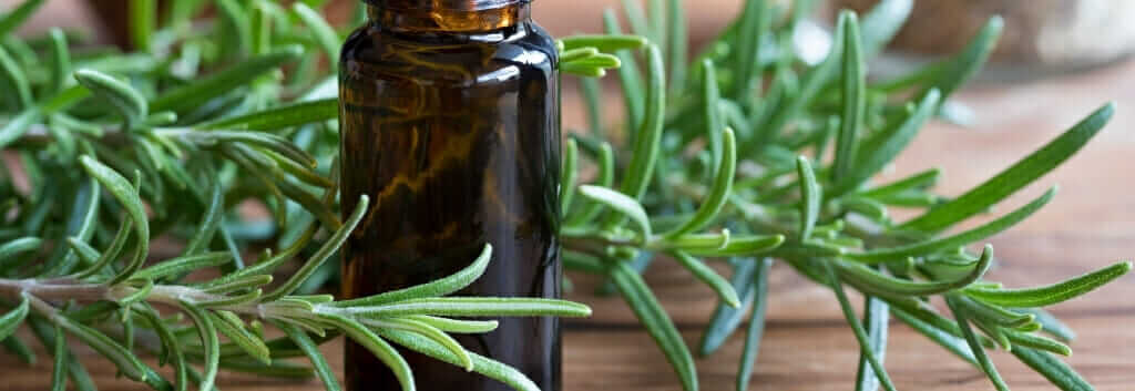 rosemary oil and hair loss