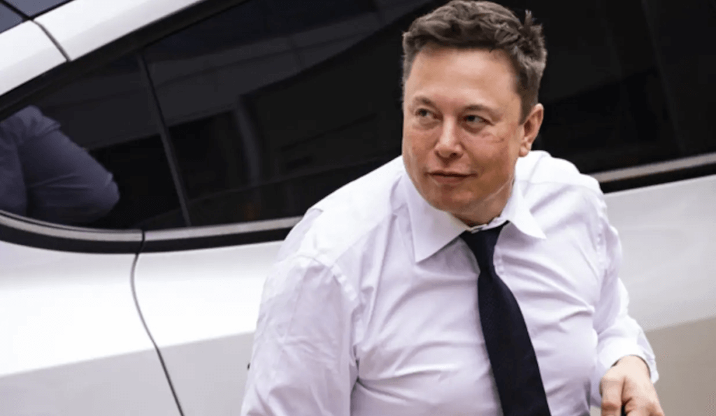 elon musk hair transplant 2022