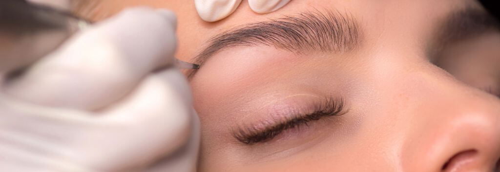 eyebrow transplant procedure